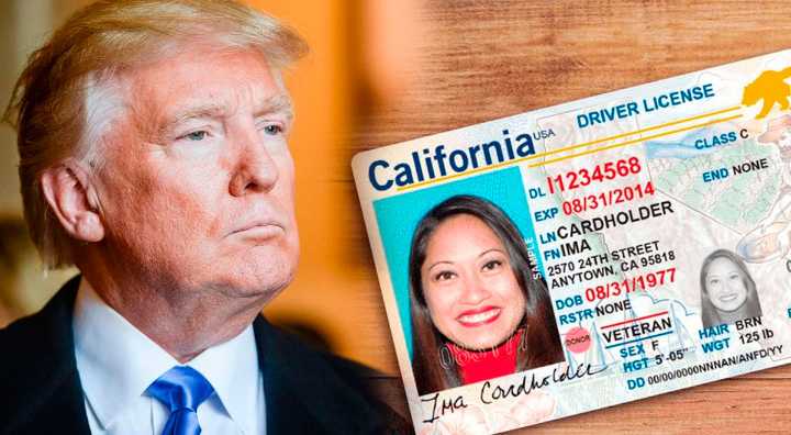 Adiós a la licencia de conducir: Conductores que no están en la LISTA lo perderán este 2025, así lo anunció Trump