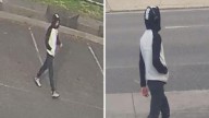 Police appeal for assistance after teenager stabbed multiple times in the in Lalor, Melbourne