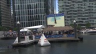 Red Bull cliff diving world series finale returns to Boston