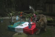 Centros de Conservación de la CDMX ofrecen actividades educativas por Fiestas Patrias