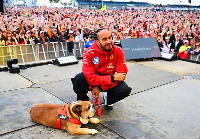 Lewis Hamilton makes ‘hardest decision of his life’ as dog Roscoe dies in his arms