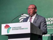 Pese a riquezas naturales, crisis externas agravan desafíos en África