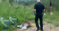 DRNA investiga hallazgo de caparazón de tortuga carey en vertedero clandestino en Salinas