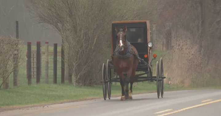 7-year-old and 9-year-old killed after Pennsylvania driver crashes into horse and buggy