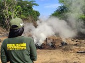 Desmantelan fábrica ilegal de carbón vegetal en Clarines, Anzoátegui