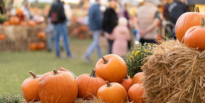 15 Best Fall Festivals and Fairs to Celebrate the Season