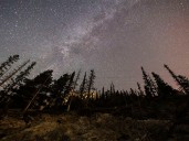 On the Road: Out late with the stars and smoke
