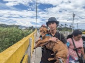 «Ha luchado conmigo»: migrante retorna con Niño, el perro que adoptó en Ecuador