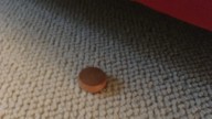 Missing Knipser Finally Found
