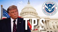 Trump pone fin al TPS de 2021 y deja a más de 250 mil venezolanos en riesgo de deportación