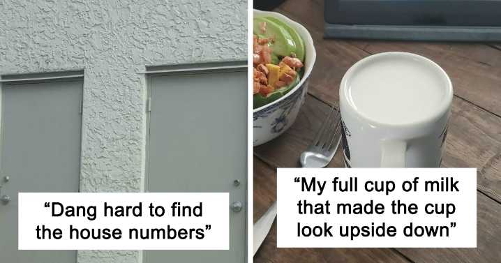 People Share Accidental Camouflage Examples And Here Are 48 Of The Best Photos