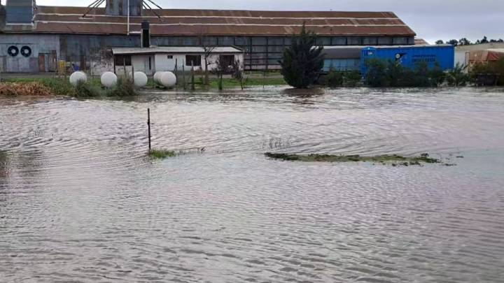 La localidad santafesina de María Teresa enfrenta las secuelas de 300 milímetros de lluvia en un solo fin de semana: "Debemos volver a empezar"