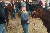 Illinois Dad Allegedly Shot at a Bird, Killed Daughter