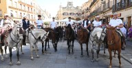 Las rutas ecuestres llenan de vida la segunda jornada de la XXIV Feria del Caballo de Ciudad Rodrigo