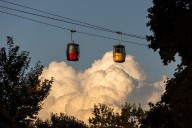Stories from the State Fair