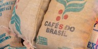 Las exportaciones de café brasileño a Estados Unidos se hundieron un 46% en agosto por los aranceles de Trump