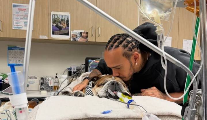 Lewis Hamilton confirma la muerte de su perro Roscoe: “Tenerlo fue una de las partes más hermosas de la vida”