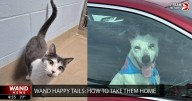 WAND's Happy Tails featuring Buttercup and Parker