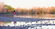 Llega hasta un 40% menos de agua a los embalses del Neuquén y el Limay por la escasez de nieve
