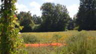 See the New Hanover farm family land poised for…