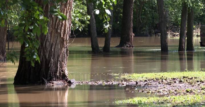 Cleanup underway after flooding leaves Tescott under water