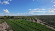 Advierten productores de López riesgo agrícola ante bajo nivel de la presa San Gabriel