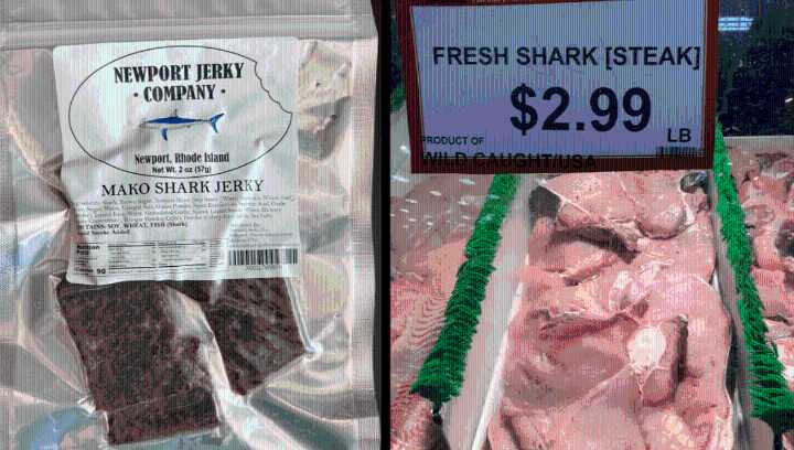 Critically Endangered Shark Meat Is Being Sold In US Stores, Often Under Misleading Labels