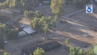 Woodland Hills Nursery Sale to Dignity Memorial for Cemetery Sparks Scrutiny Over Possible Measure ULA Tax Avoidance