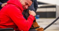 El emotivo reencuentro entre un patrullero víctima del atentado en Amalfi y su perro antiexplosivos
