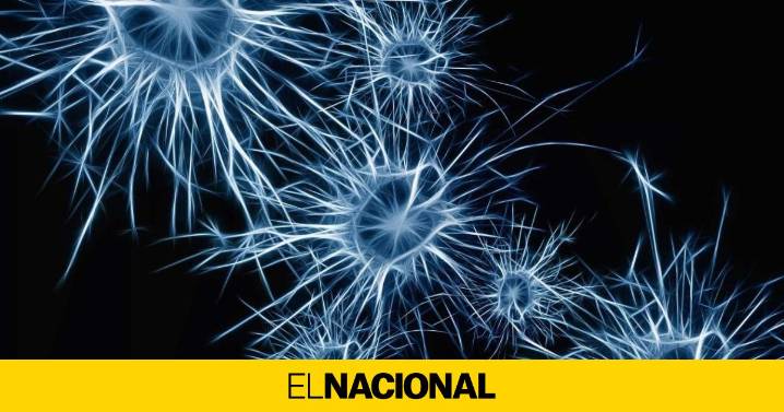 Identificadas las señales cerebrales que hacen olvidar los recuerdos desagradables