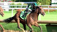 Kentucky Derby winner Mystik Dan  Churchill Downs