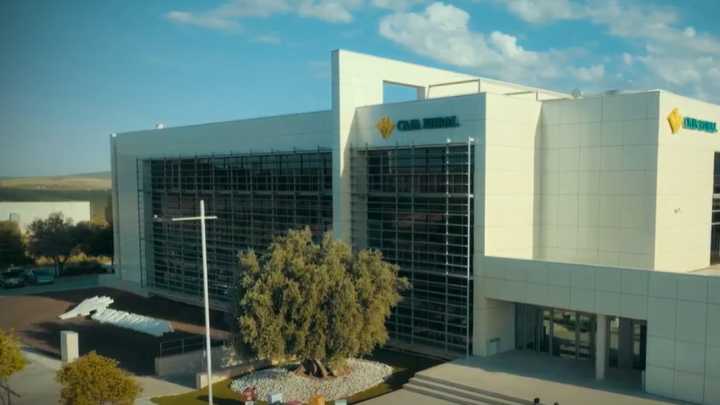 Caja Rural de Jaén, motor del crecimiento sostenible del olivar jiennense