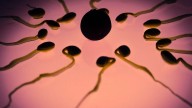 Pequeños robots para controlar el esperma podrían revolucionar las técnicas de fertilidad