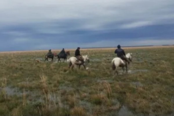EL PEOR FINAL! Encuentran muerto a un peón rural en la zona costa del Uruguay