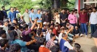Bhopal News: Gau Rakshak Group, Locals Clash Over Calf At Kolar Road Area