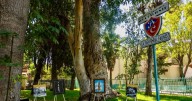 Exposición fotográfica revive la historia y leyendas de Tijuana
