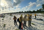 Niega Península Maya Developments vinculación con incendio en Holbox