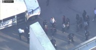 New York officials among dozens arrested at anti