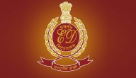 ED To Attach Assets Of Some Cricketers, Actors In Online Betting Case