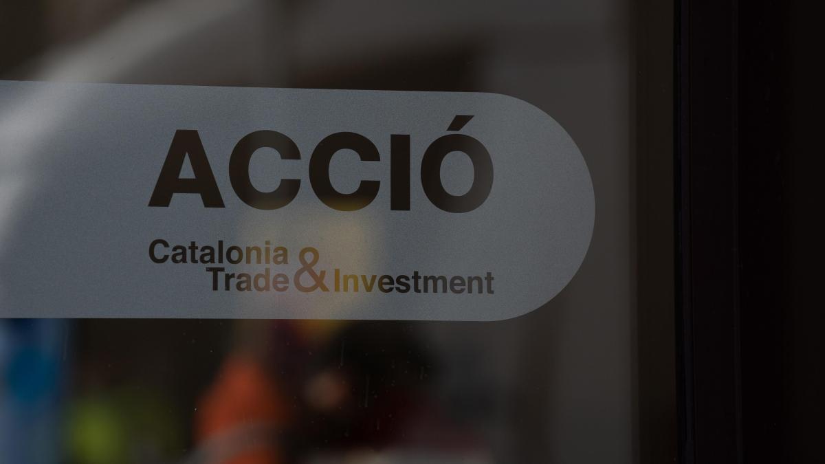 Acció: una herramienta singular, por Miquel Sàmper