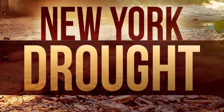 Drought warning issued for Lewis, St. Lawrence counties