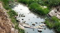 Denuncian el vertido de aguas fecales en el Riu Nou de l’Alcúdia de Crespins