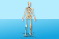 The Home Depot’s Best-Selling Skeleton Is Back and Still Available