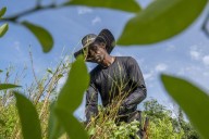 Colombia llevará a nueve países europeos una exposición para redescubrir la hoja de coca