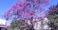 Jornada calurosa en San Salvador de Jujuy
