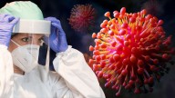 Bombazo en el mundo de la ciencia: hallan a la verdadera responsable de la primera pandemia registrada en la historia