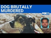 Man accused of killing dog in West Hollywood