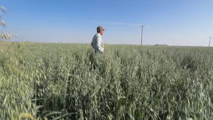 Farmer near Calgary fighting against proposed ‘data centre’ development