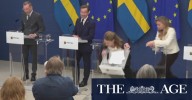 Swedish health minister collapses during media conference