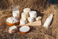 Leche de cabra: beneficios zootécnicos y nutricionales para la salud